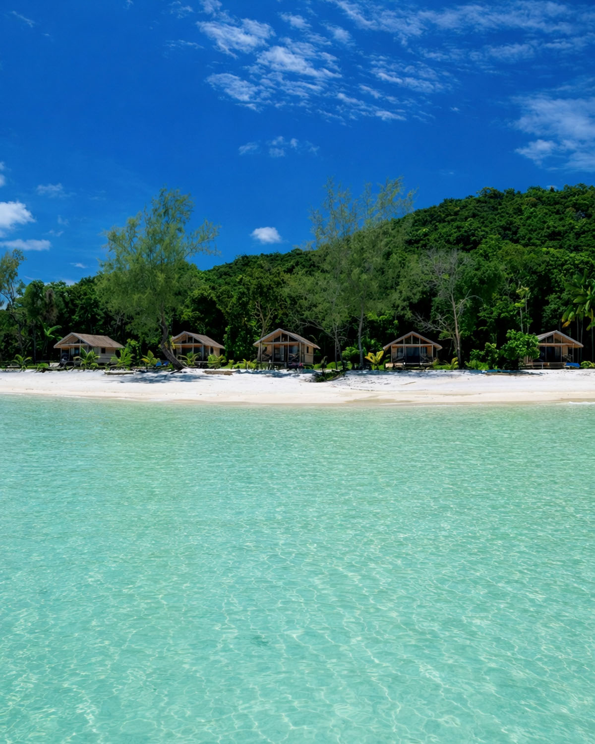 Beachfront Property